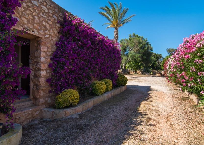 villa privada Mallorca