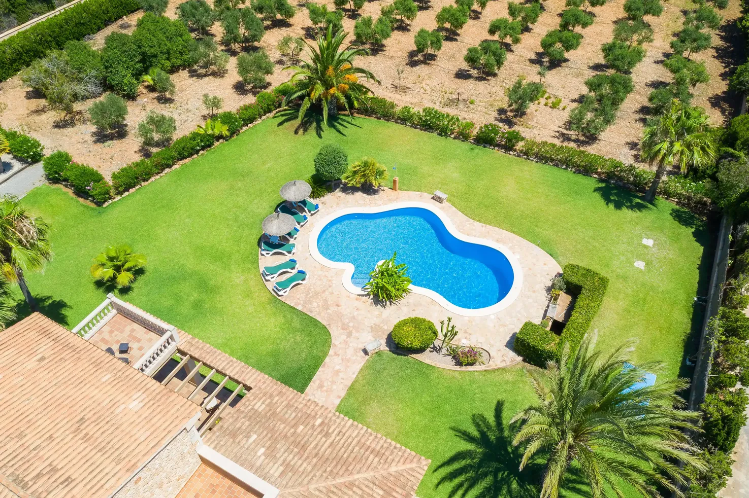 Finca s'Hort